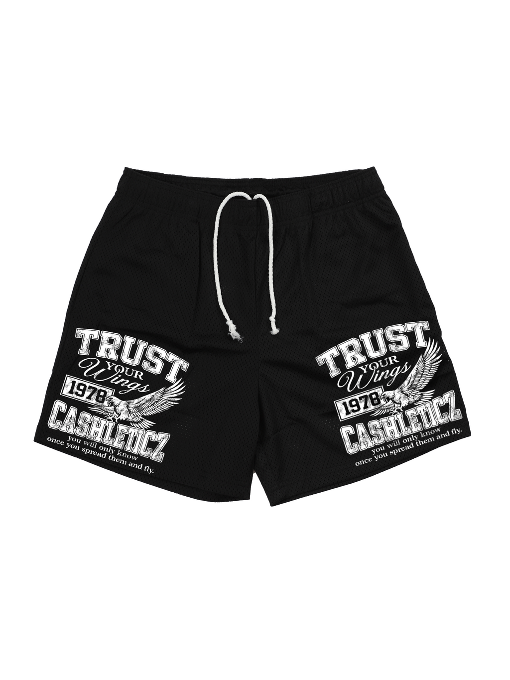 Trust Your Wings 1978 mesh shorts